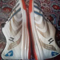 کتونی سالنی