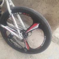 دوچرخه رینگ اسپرت