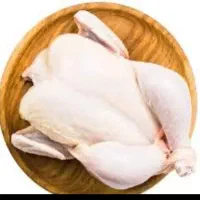 مرغ گرم کشتار روز
