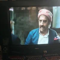 تلویزیون
