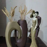 عروس داماد ی کار شیک خاص