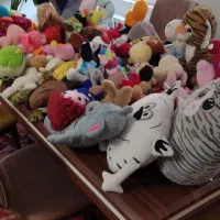 فروش عروسک خارجی نو ،عمده و کیلویی