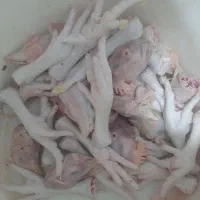 سر و پای مرغ