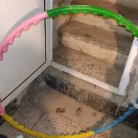 حلقه ی ورزشی