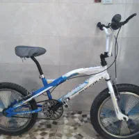 دوچرخه حرفه ای