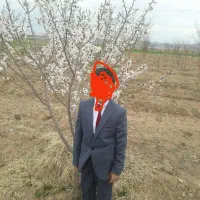 کت و شلوار پسرانه