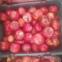 اب انار اصلی صدرصد تضمینی