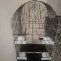 قفس مناسب برای عروس هلندی وطوطی