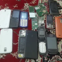 برد گوشی