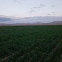 فروش-زمین-کشاورزی-به-همراه-اب