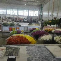 استخدام در بازار گل