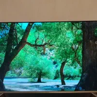 تلویزیون 65اینچ سونیا