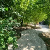 باغ فروشی منطقه خوش آب و هوای مهریز