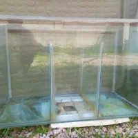 آکواریوم بزرگ