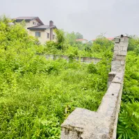 فروش-420-متر-زمین-روستایی-سند-تکبرگ-به-شکل-مربع