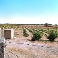 46هزار-متر-باغ