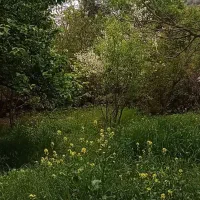خانه باغ