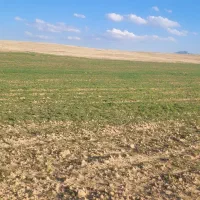 اشنا به ابیاری