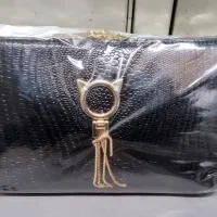 کیف مجلسی ورنی