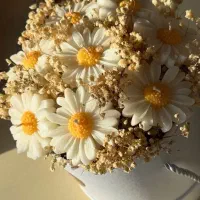 فروش انواع شمع، گیفت دستساز و اقتصادی