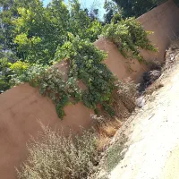 باغ-شهری-فاروق