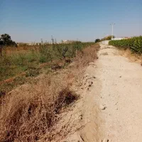 فروش-باغ