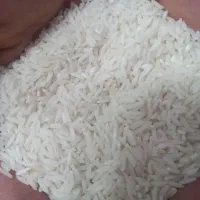 برنج هاشمی درجه یک تازه برنج کردم  ۳۸۰ کیلو