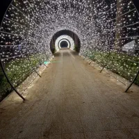 تولید و اجرای ریسه LED12v ضدآب با یکسال گارانتی