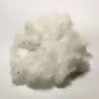 پنبه