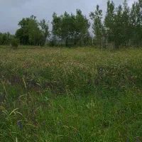 زمین-باغ-آبی-جلوی-سد-پیغام