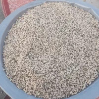 لوبیا چشم بلبلی(محلی)