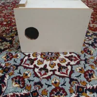 لانه پرنده