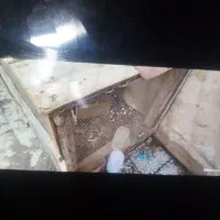 قفس