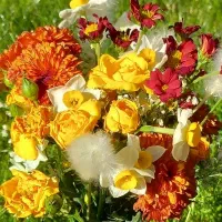 مشاور طلاق و همدرد