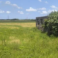 ۳۰۰متر زمین روستایی ،روستای دلیجان