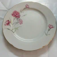 بشقاب چینی گل میخک