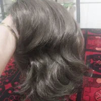 کلاه گیس