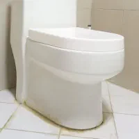 توالت فرنگی / درحدنو
