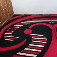 ۲ عددگلیم فرش ۹ متری