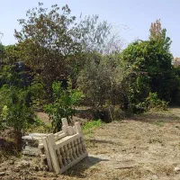 200متر-باغچه-قلفتی