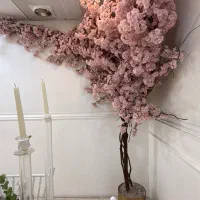 درخچه ۶۰ شاخه بزرگ صورتی