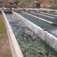 کارگاه پرورش ماهی