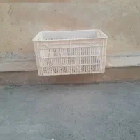 سبد نو و سالم حمال