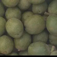 گردو تازه