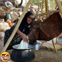 کره گوسفندی اعلا
