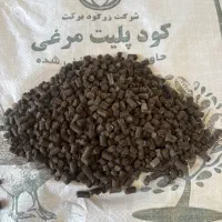 پلیت مرغی غنی شده پلت مرغی