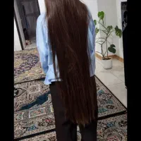 گیسو هاتو ی پول تبدیل کن