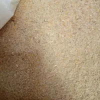 کنسانتوره پرواری