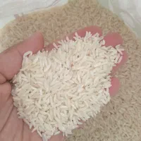 ۱۰ کیلو برنج هاشمی