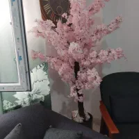 گل شکوفه باگلدان